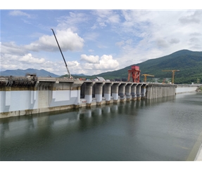 T100系列無(wú)溶劑刷涂聚脲防水涂料